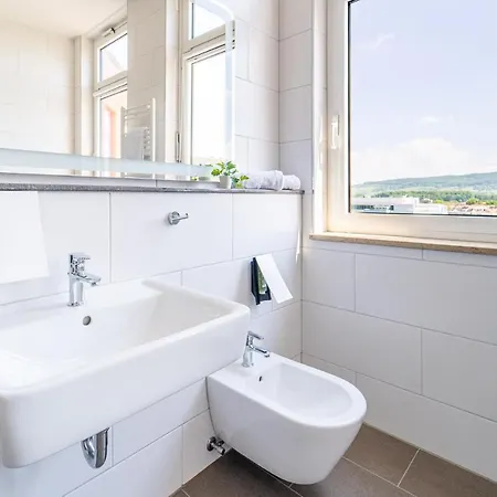 Hotel Western Dreilaenderbruecke / Basel Weil am Rhein