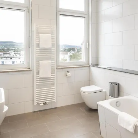 Western Dreilaenderbruecke / Basel ホテル 4*